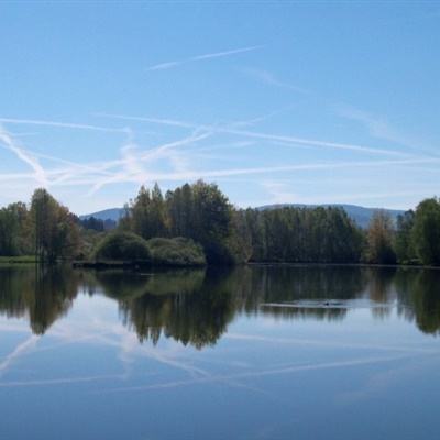 麻将胡了app手机app下